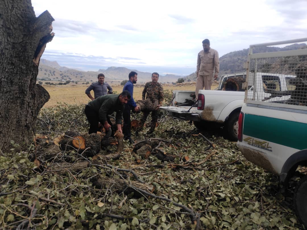 رئیس اداره منابع طبیعی و آبخیزداری شهرستان باشت خبر داد: کشف یک تن چوب جنگلی قاچاق در باشت