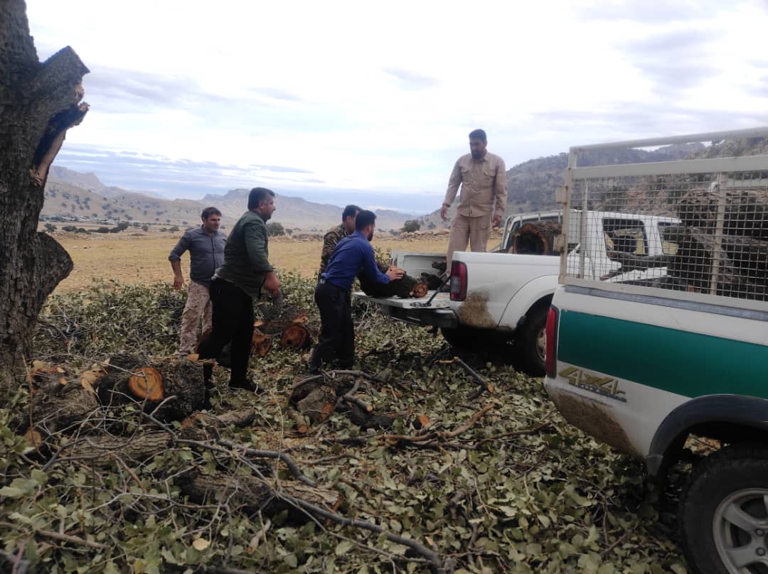 رئیس اداره منابع طبیعی و آبخیزداری شهرستان باشت خبر داد: کشف یک تن چوب جنگلی قاچاق در باشت