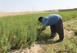 اقتصاد مقاومتی؛ راه نجات از وابستگی، حلقه مفقوده در توسعه بومی کهگیلویه و بویراحمد 